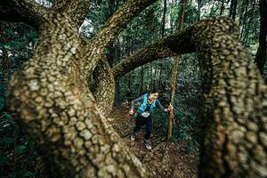 BIB: 
                            <button type="button" onclick="openModal(25394061)" class="btn btn-primary btn-sm float-right btn-popup" data-toggle="modal" data-target=".modal-high-quality">
                        <i class="fas fa-shopping-cart"></i> Add to Cart
                    </button>
                                            <button type="button" onclick="isThisMe(25394061, true)" class="btn btn-success btn-sm float-right btn-popup btn-isme hidden" data-toggle="tooltip" data-placement="bottom" title="นี่คือรูปของคุณใช่ไหม คลิกที่นี่เพื่อเอาเข้าอัลบั้ม">
                        <i class="fas fa-plus"></i> Add to album
                    </button>
                    <button type="button" onclick="isThisMe(25394061, false)" class="btn btn-warning btn-sm float-right btn-popup btn-isnotme hidden">
                        <i class="fas fa-ban"></i> Remove from album
                    </button>